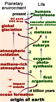 ** PLEASE DESCRIBE THIS IMAGE **