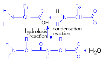 ** PLEASE DESCRIBE THIS IMAGE **