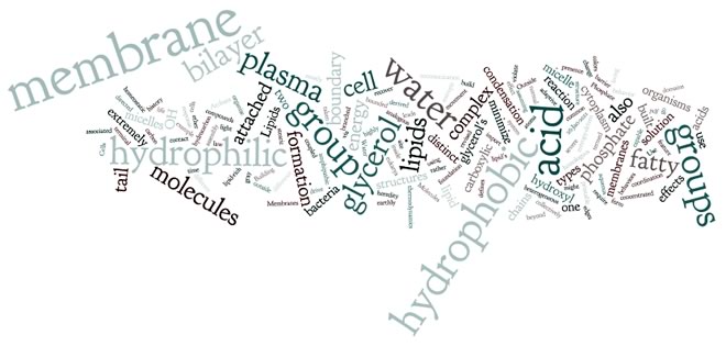wordle-1