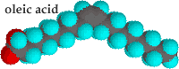 oleic acid