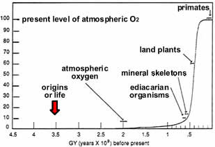 oxygen history