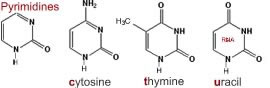 pyrimidines