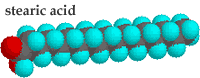 steric acid