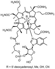 b12