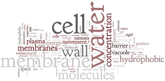 wordle-1