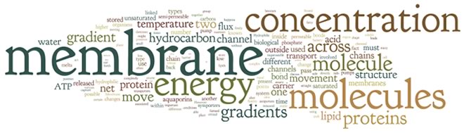 wordle-1