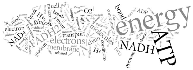 wordle-1