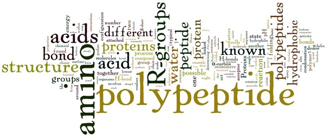 wordle-1