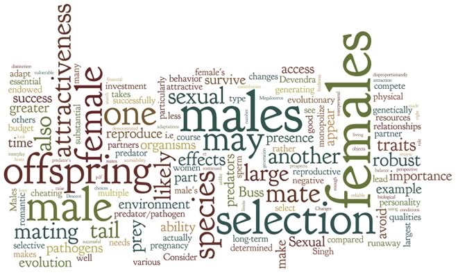 wordle-1