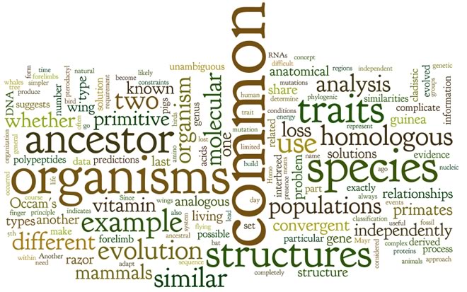 wordle-1